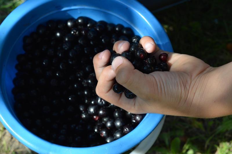 Navarra rep 2,3 milions d'euros dins d'una nova convocatòria del PERTE AGRO
