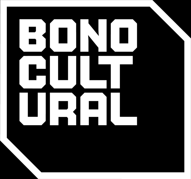 Bono cultural jove 2025